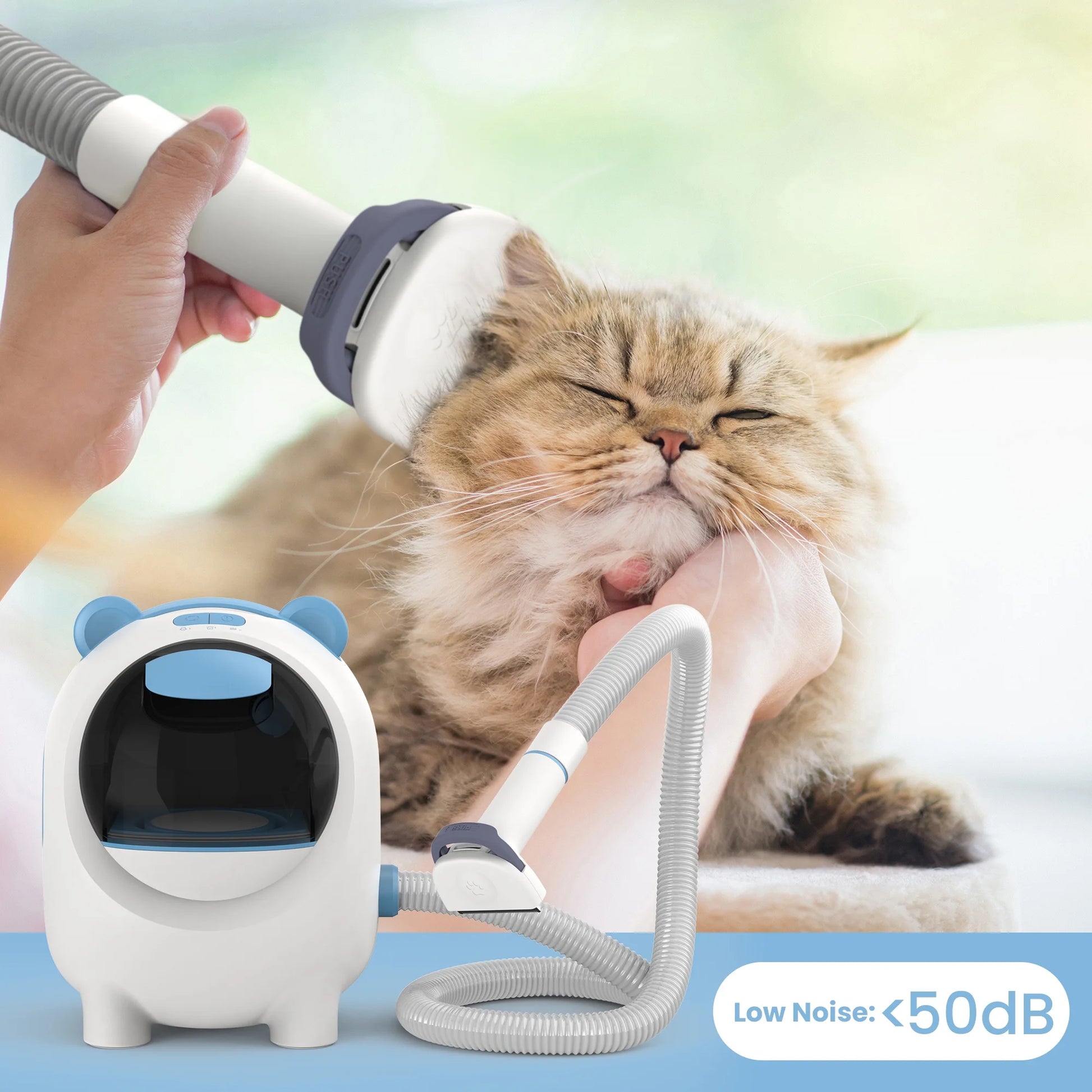 Professional Pet Grooming Vacuum with 12KPA Suction Power and Five Grooming Tools for Optimal Shedding Management